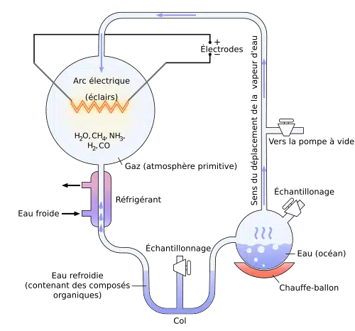 Schéma de l'expérience de Miller : un ballon de gaz primitifs (CH₄, NH₃, H₂, vapeur d'eau) soumis à des décharges électriques produit des molécules organiques recueillies après condensation