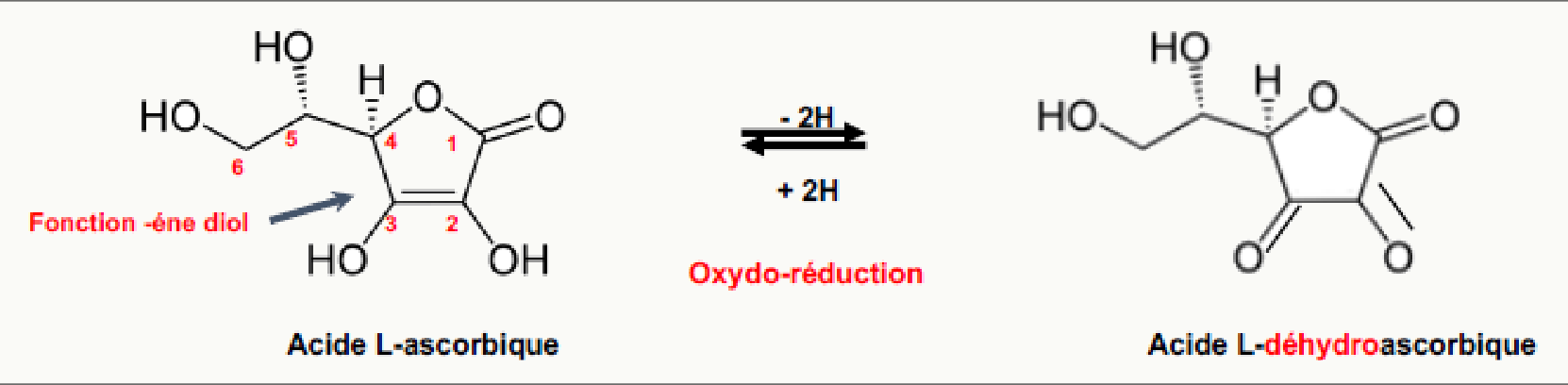 Acide ascorbique et acide déhydroascorbique, couple d'oxydoréduction de la vitamine C