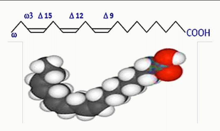 Acide gras polyinsaturé oméga-3 avec ses doubles liaisons en positions Δ9, Δ12 et Δ15