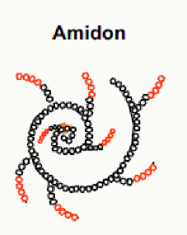 Structure hélicoïdale de l'amidon