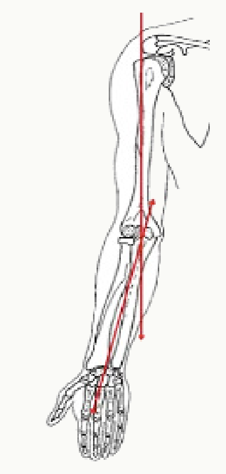 Axe du membre supérieur et valgus physiologique du coude