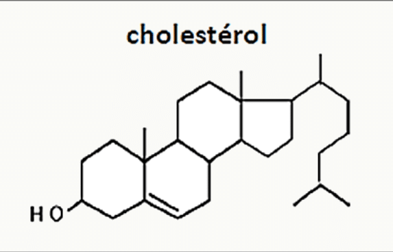 Formule développée du cholestérol avec ses quatre cycles et sa chaîne latérale