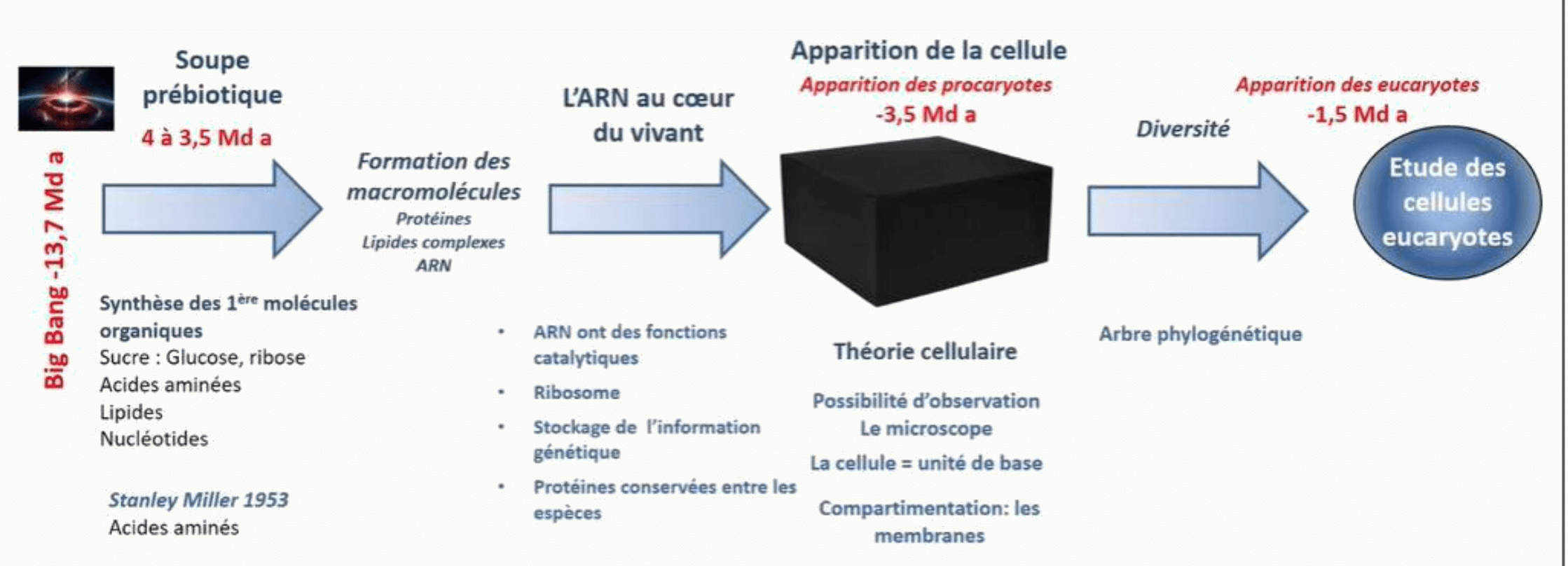 Frise chronologique de l'apparition du vivant, de la soupe prébiotique aux premières cellules
