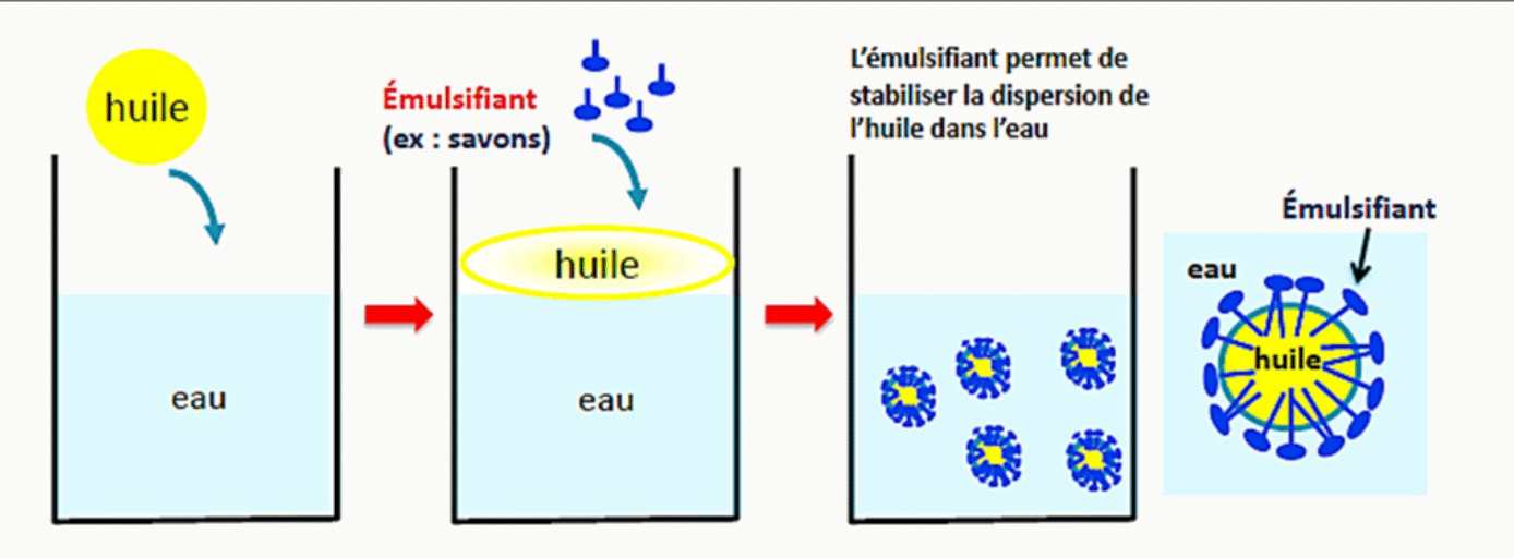 Émulsion de lipides dans l'eau et rôle de l'émulsifiant sur la stabilité du mélange