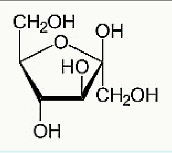 Fructose sous sa forme cyclique furanose
