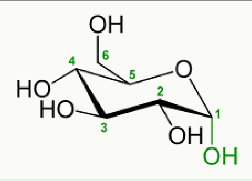 Glucose sous sa forme cyclique pyranose, en représentation de Haworth