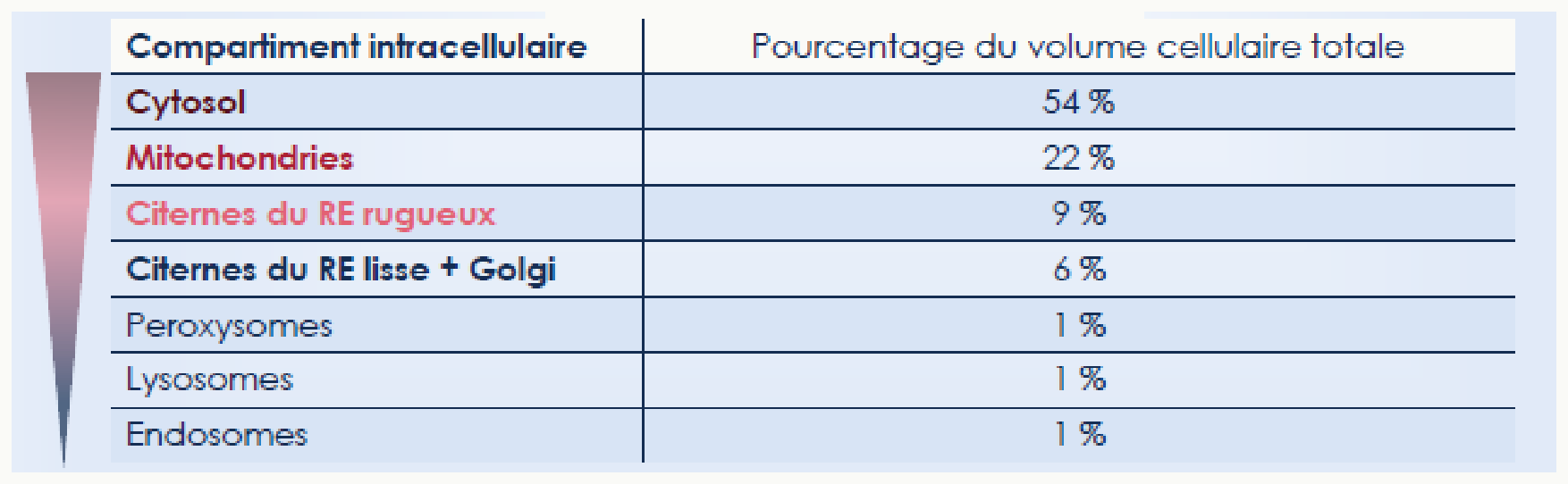 Part de chaque compartiment intracellulaire dans le volume cellulaire total
