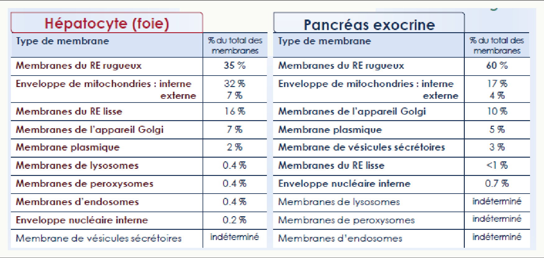 Répartition des membranes comparée entre un hépatocyte et une cellule du pancréas exocrine