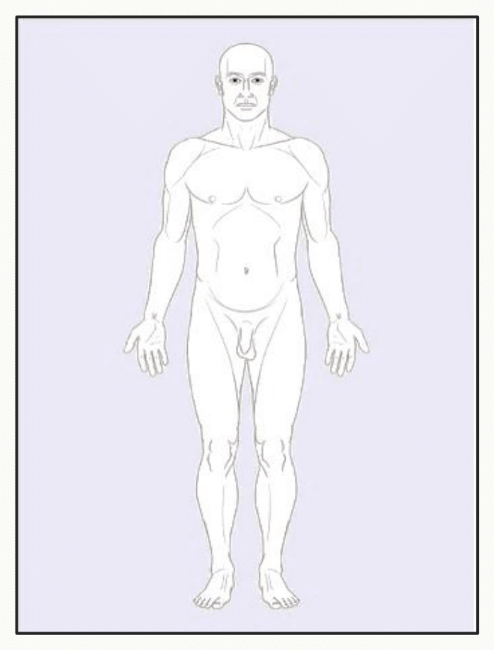 Position anatomique de référence : sujet debout, de face, paumes tournées vers l'avant