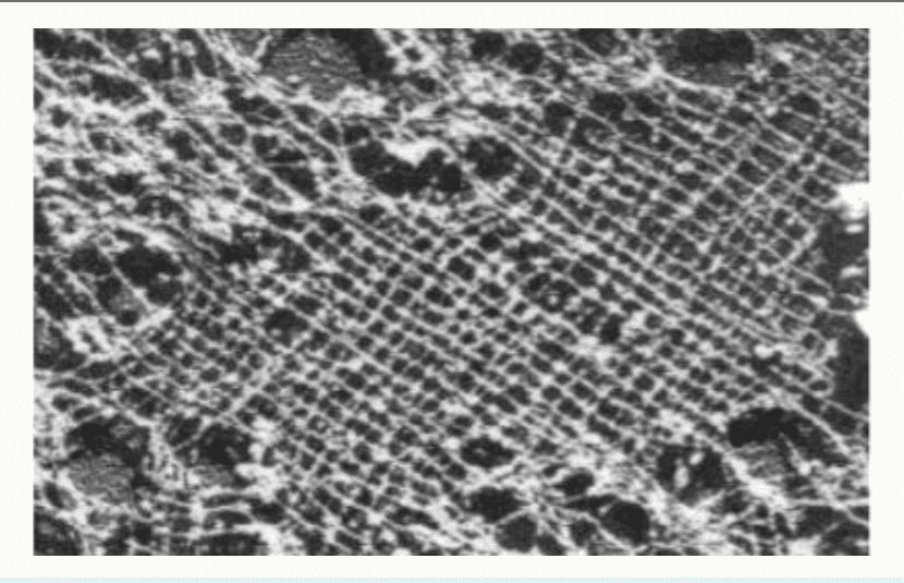 Réseau régulier de lamines observé au microscope électronique
