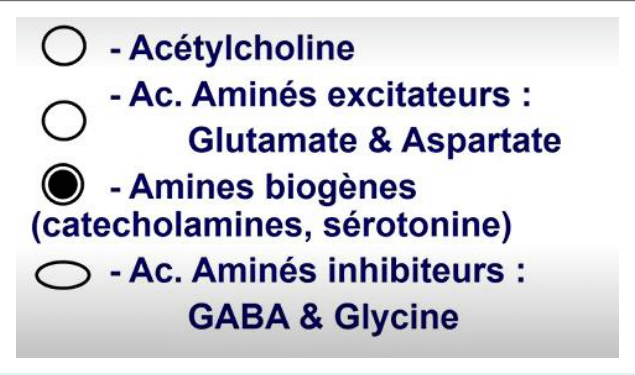 Classification des neurotransmetteurs : acétylcholine, acides aminés excitateurs et inhibiteurs, amines biogènes