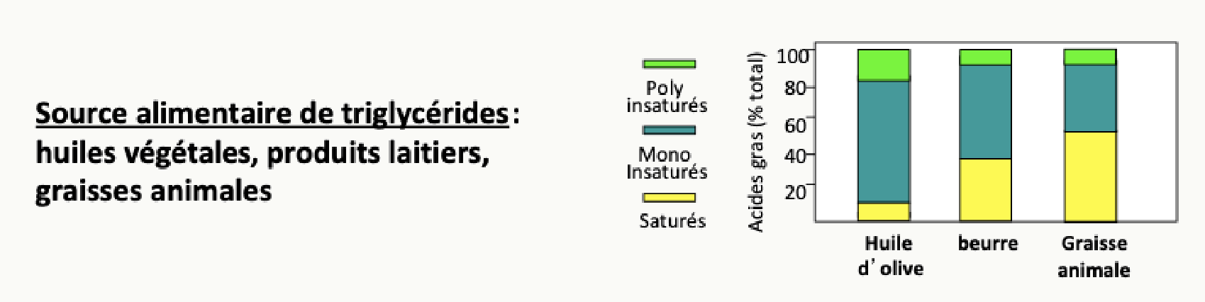 Sources alimentaires de triglycérides : huiles végétales, produits laitiers et graisses animales