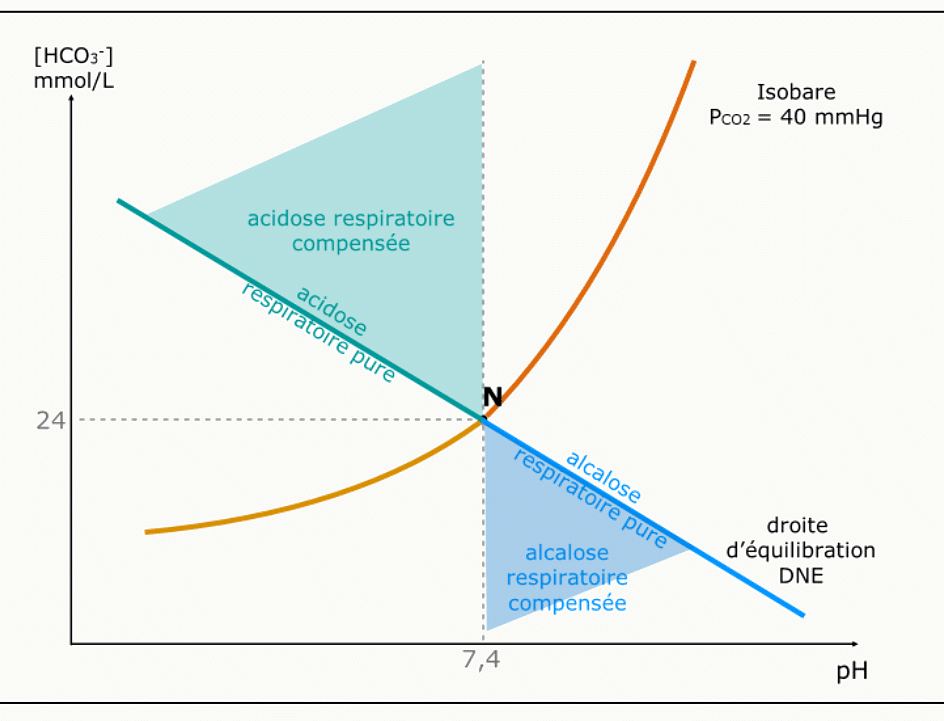 Acidose respiratoire pure et compensée sur le diagramme de Davenport : isobare PCO₂ > 40 mmHg. » style= »display:block; width:100%; border-radius:12px; »><figcaption style=