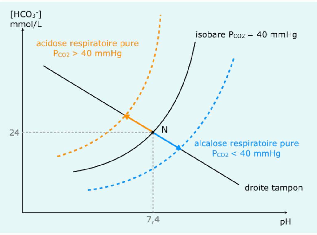 Diagramme de Davenport illustrant l'acidose respiratoire pure avec déplacement le long de la droite tampon vers une PCO2 élevée, puis compensation rénale