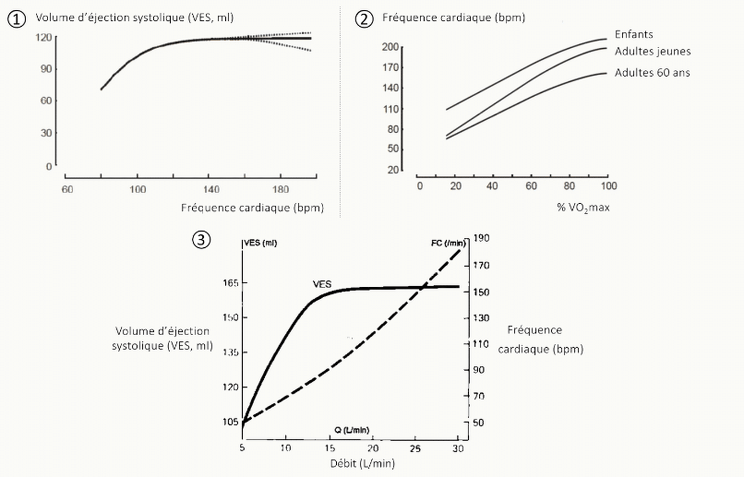 Trois graphiques complémentaires : ① volume d'éjection systolique VES en fonction de la fréquence cardiaque (bpm), ② fréquence cardiaque en fonction du %V̇O₂max avec trois populations (enfants, adultes jeunes, adultes de 60 ans), ③ courbes couplées VES et FC en fonction du débit cardiaque (L/min) montrant que la FC augmente linéairement quand le VES plafonne rapidement.
