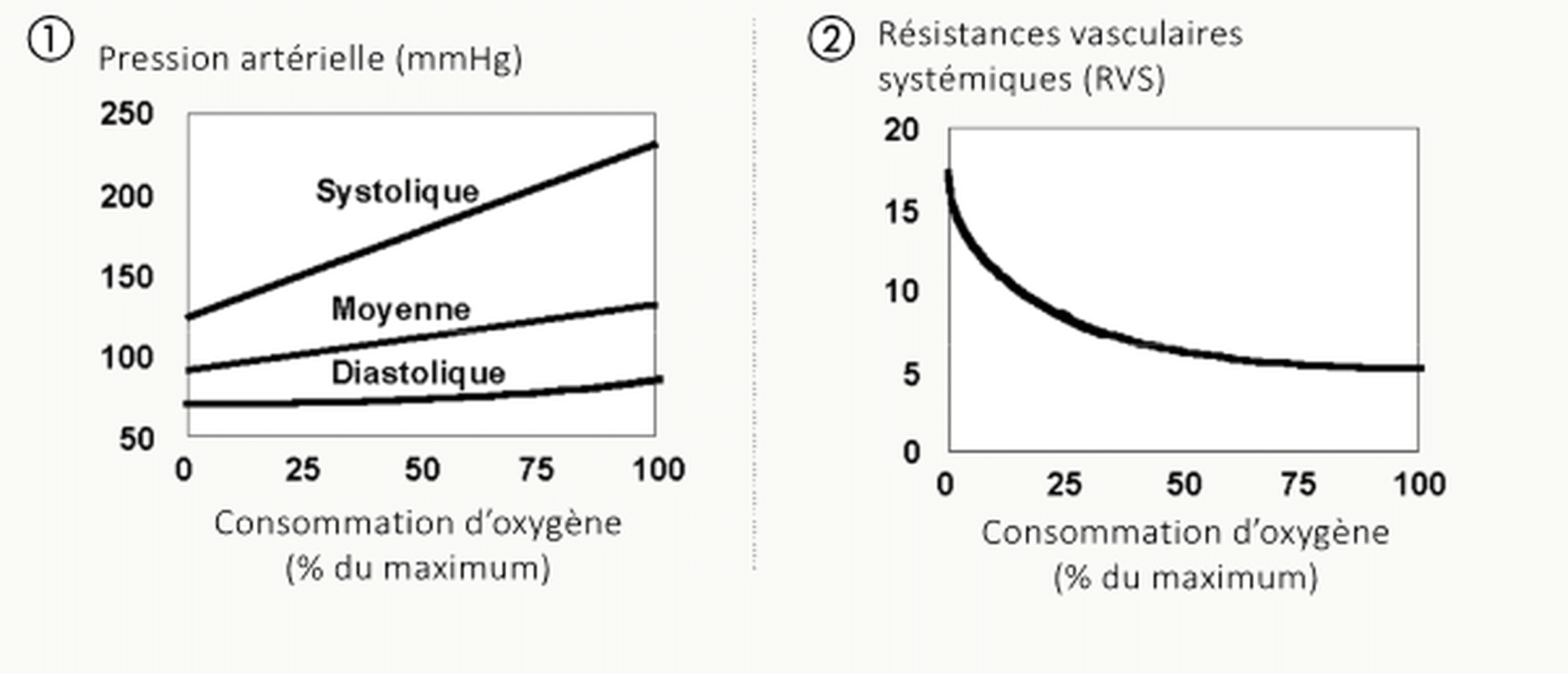 Deux graphiques côte à côte tracés en fonction de la consommation d'oxygène (en % du maximum) : ① pression artérielle (mmHg) avec les trois courbes systolique, moyenne et diastolique — la systolique monte fortement, la moyenne monte légèrement, la diastolique reste stable ; ② résistances vasculaires systémiques (RVS) qui chutent nettement (courbe décroissante hyperbolique).