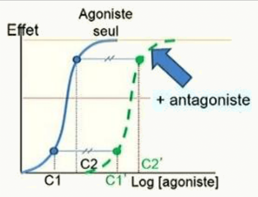 Courbes agoniste seul vs + antagoniste avec C1/C1'/C2/C2'