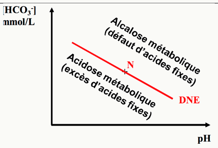 Droite normale d'équilibration DNE avec les zones d'alcalose (défaut d'acides fixes) et d'acidose métabolique (excès d'acides fixes).