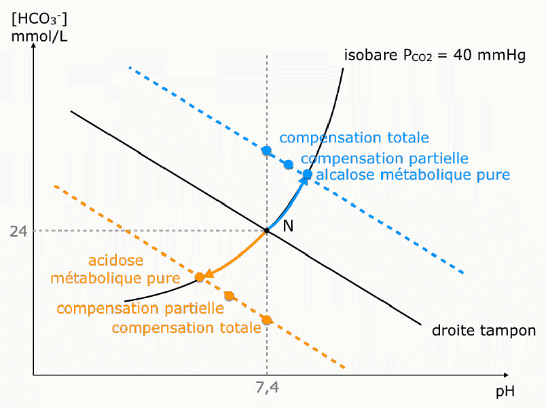 Alcalose métabolique pure, compensée partiellement ou totalement, dans le diagramme de Davenport.