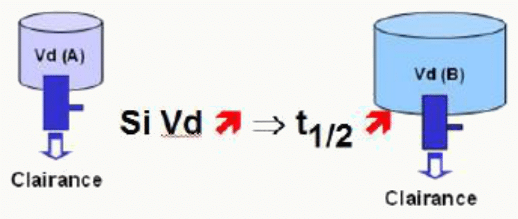 Analogie deux réservoirs Vd(A) < Vd(B) impact demi-vie