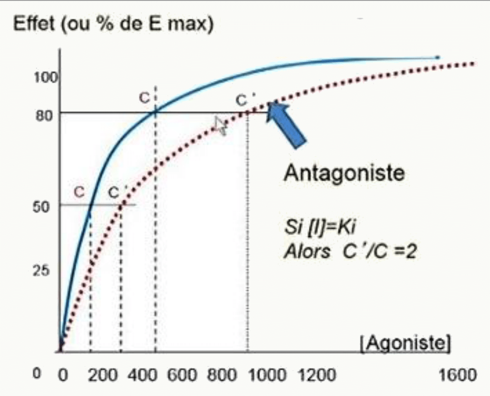 Équation de Schild Si [I]=Ki alors C'/C=2