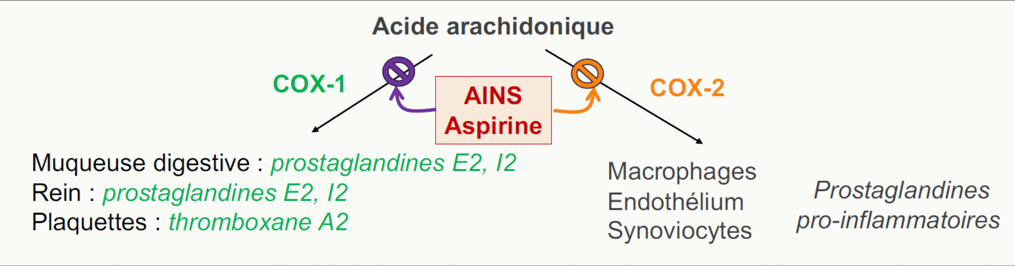 Aspirine AINS inhibition COX-1 COX-2 prostaglandines