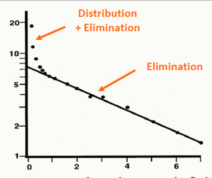 Semi-log biphase distribution + élimination deux pentes