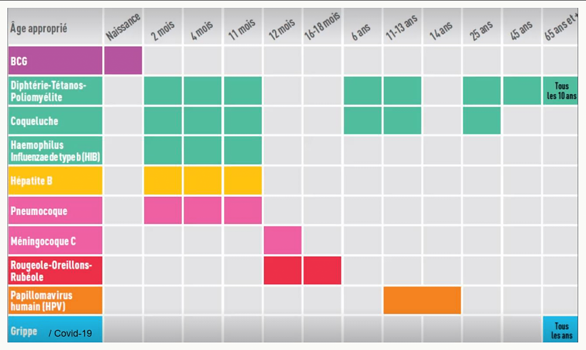 Tableau du calendrier vaccinal français par âge et par vaccin : BCG, DTP, coqueluche, Haemophilus, hépatite B, pneumocoque, méningocoque C, ROR, papillomavirus, grippe et Covid-19