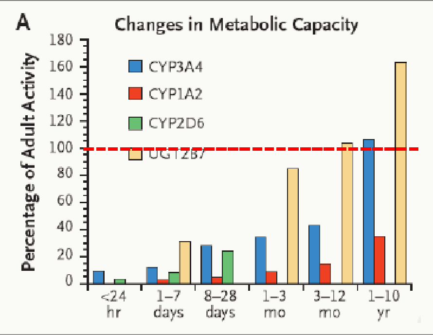 Capacité métabolique CYP3A4 CYP1A2 CYP2D6 par âge