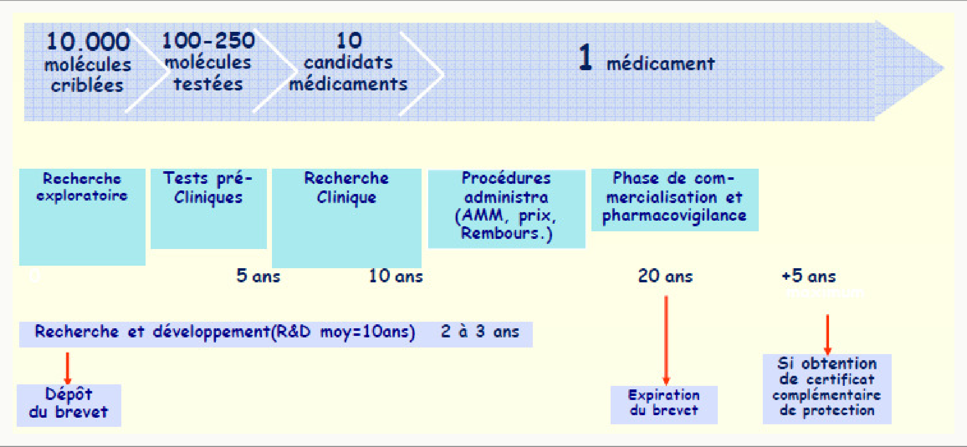 Frise chronologique du développement d'un médicament : brevet, précliniques, cliniques, AMM