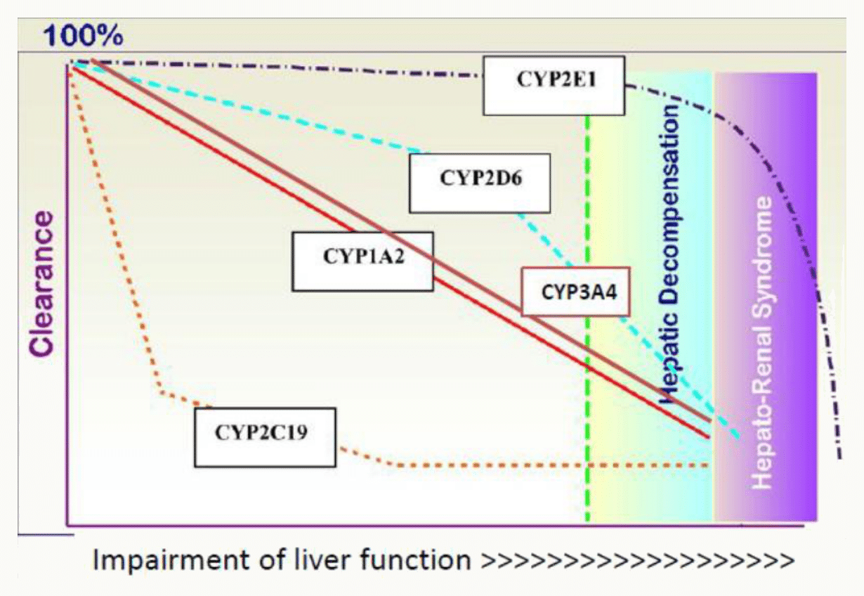 Clairance en fonction fonction hépatique CYP2E1 CYP1A2 CYP2D6 CYP3A4 CYP2C19