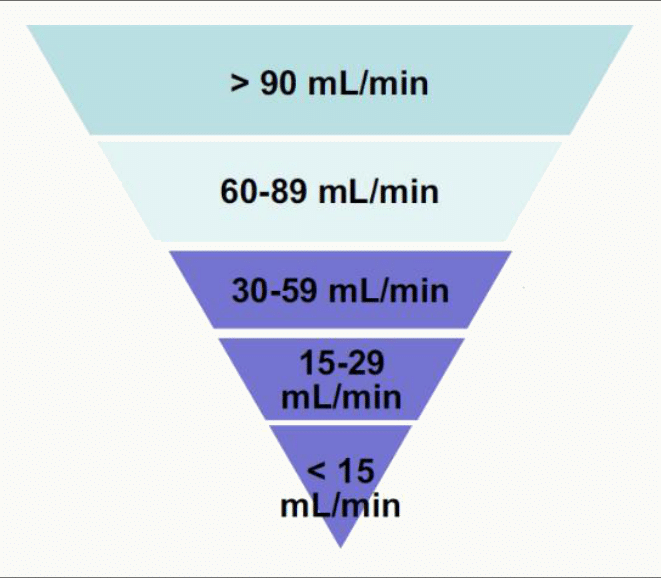 Classification insuffisance rénale >90/60-89/30-59/15-29/<15 mL/min