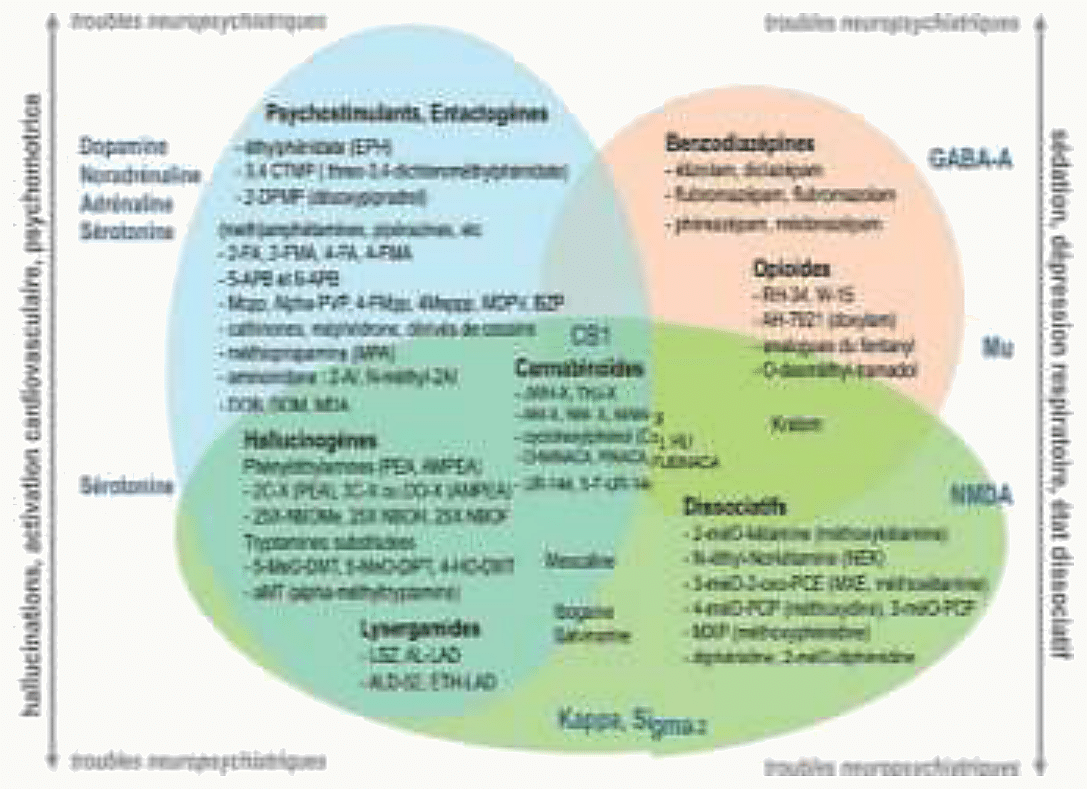 Diagramme de Venn de Koob et Simon classant les substances psychoactives en trois familles : psycholeptiques (alcool, benzodiazépines, cannabis, opiacés, GHB), psychoanaleptiques (cocaïne, MDMA, amphétamines, nicotine, caféine) et psychodysleptiques (LSD, kétamine, protoxyde d'azote, poppers, mescaline) avec zones de recouvrement