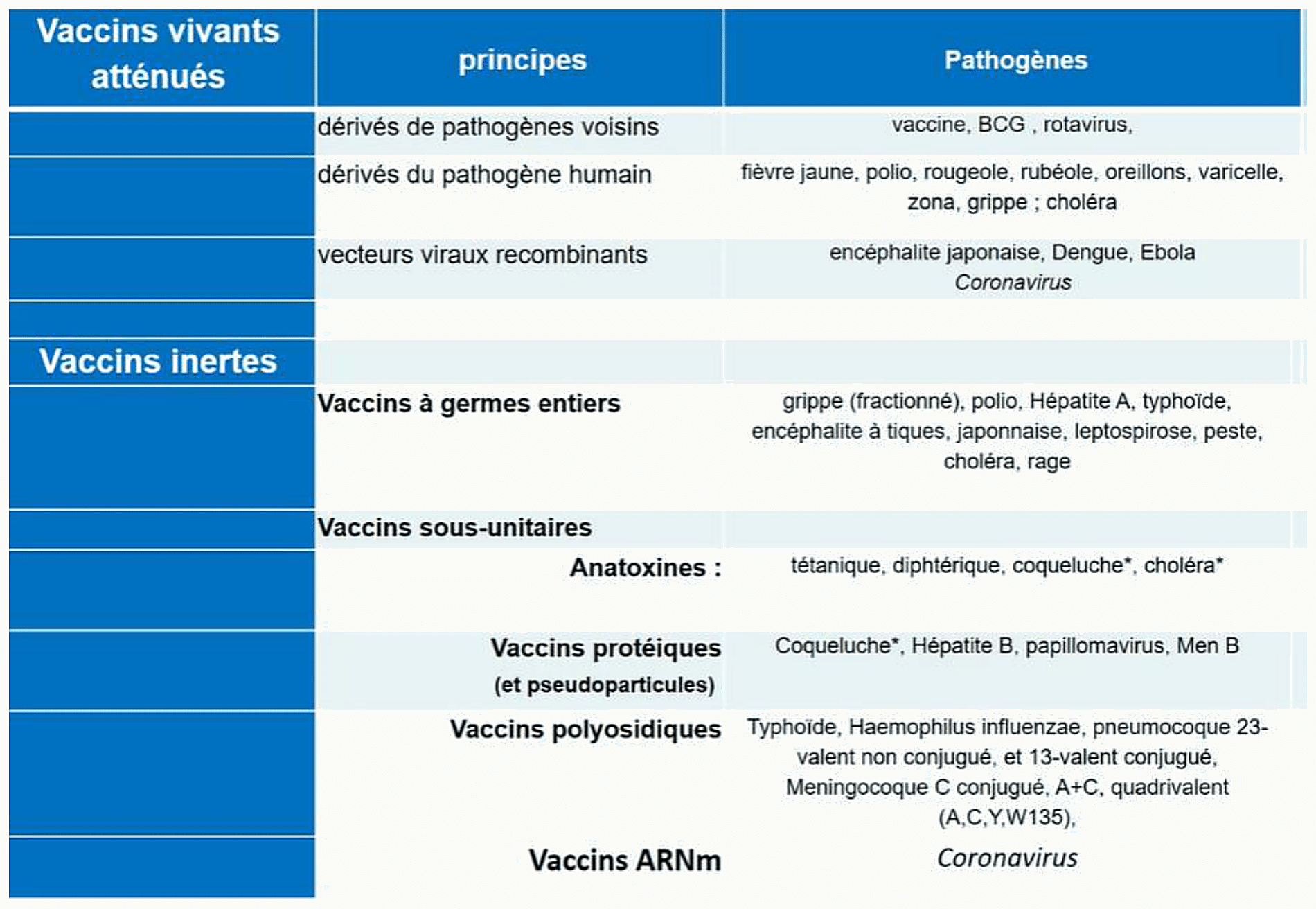 Tableau de classification des vaccins : vaccins vivants atténués dérivés de pathogènes voisins ou humains (BCG, ROR, fièvre jaune) ; vaccins inertes à germes entiers (grippe, polio, hépatite A, choléra), sous-unitaires (tétanos, HPV, hépatite B, pneumocoque, méningocoque), polyosidiques, ARNm (coronavirus)