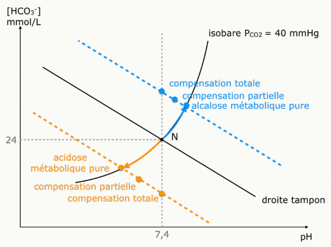 Diagramme de Davenport illustrant la compensation totale et partielle d'un trouble métabolique