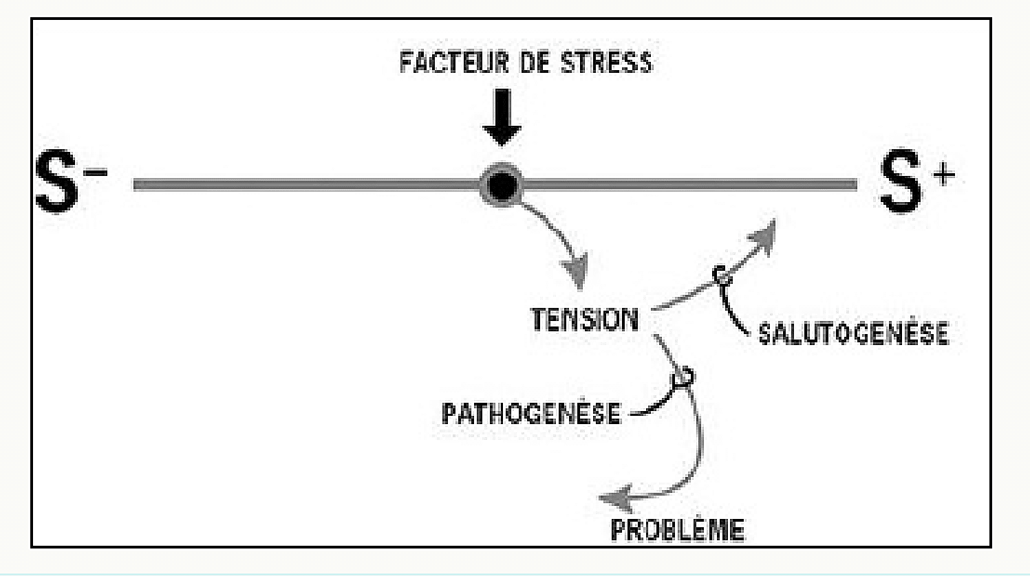 Le continuum santé-maladie Schéma linéaire du continuum santé-maladie d'Antonovsky avec un axe S- (santé négative) à S+ (santé positive), un facteur de stress créant une tension, et deux issues : la pathogenèse vers le problème ou la salutogenèse vers la santé positive.