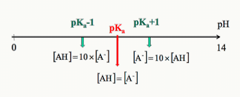 Échelle de pH avec position d'un pKa et zones où [AH] = 10 × [A⁻] et [AH] = [A⁻].