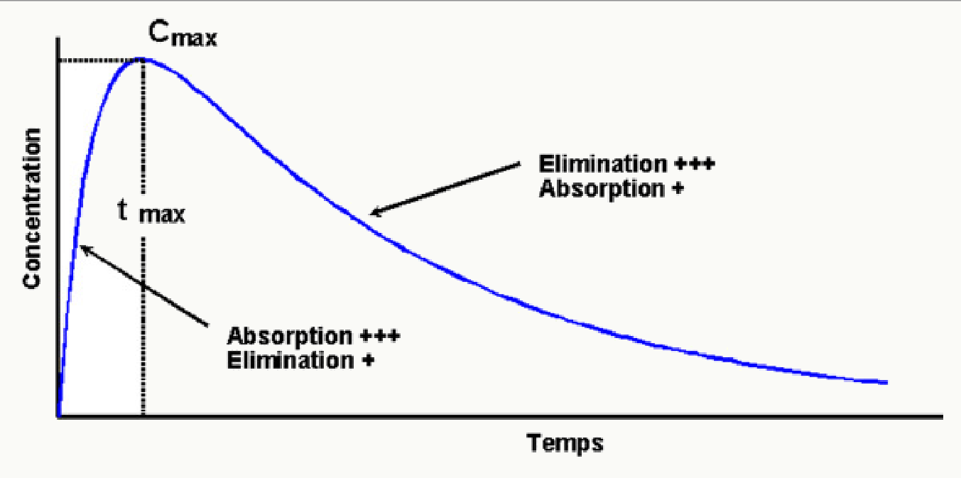 Courbe concentration-temps type avec Cmax, Tmax, absorption et élimination