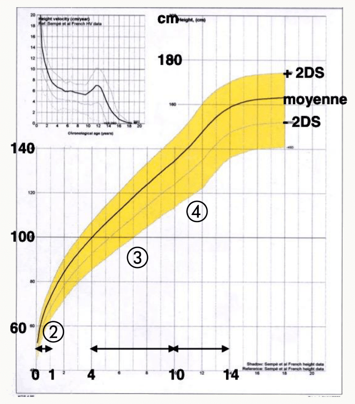 Courbe de croissance staturale 0-14 ans avec couloirs ±2 DS.
