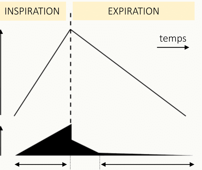 Courbe du débit respiratoire en fonction du temps montrant les phases inspiration (montée) et expiration (descente) avec le volume courant (VT) et les temps inspiratoire et expiratoire.