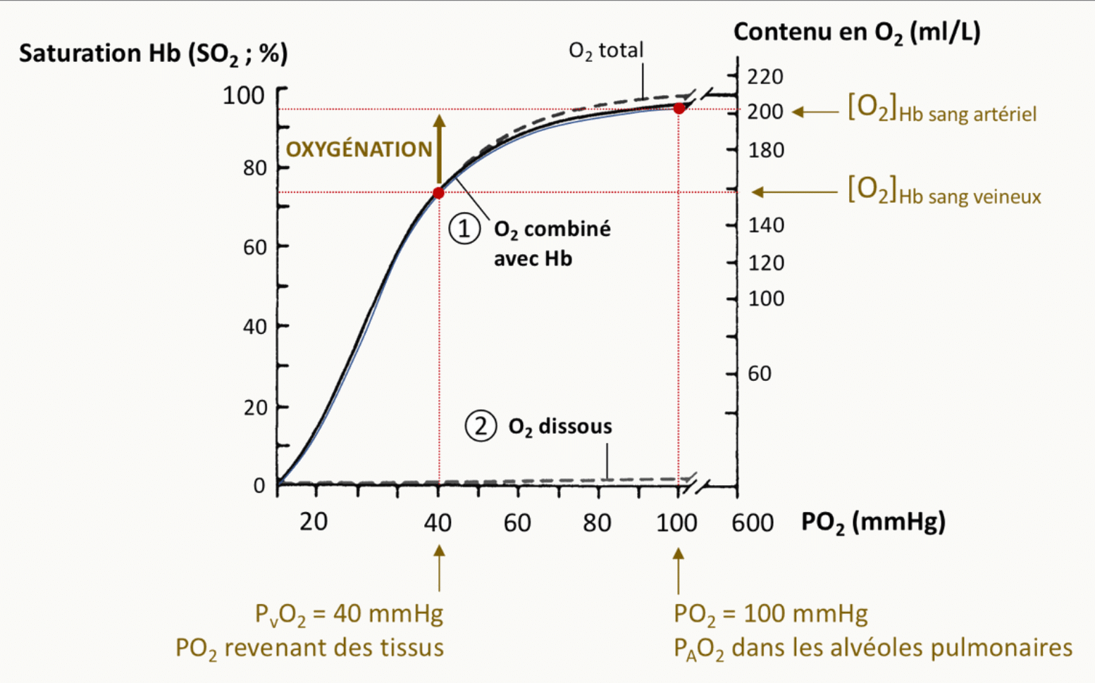 Courbe de dissociation de l'oxyhémoglobine en forme de sigmoïde montrant la saturation SO2 en fonction de la PO2, avec les points de référence sang artériel (PaO2 100 mmHg, SO2 97 %) et sang veineux mêlé (PvO2 40 mmHg, SO2 75 %).