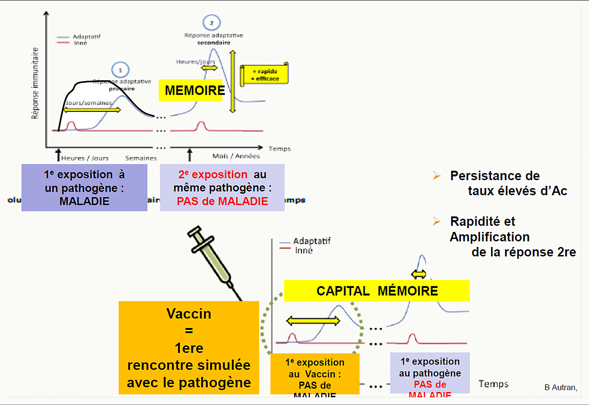 Courbe d'anticorps illustrant la mémoire vaccinale : 1ère exposition à un pathogène provoquant la maladie ; après vaccination, 2ème exposition sans maladie grâce au capital mémoire, avec réponse rapide et amplifiée