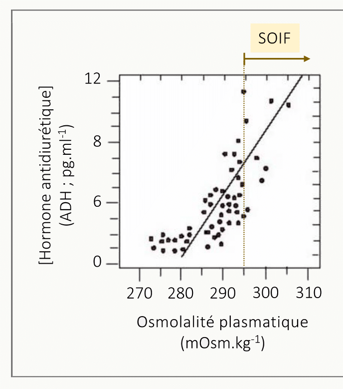 Courbe de corrélation entre l'osmolalité plasmatique en mOsm par kg en abscisse et la concentration d'ADH en pg par mL en ordonnée, seuil de sécrétion vers 280 mOsm/kg