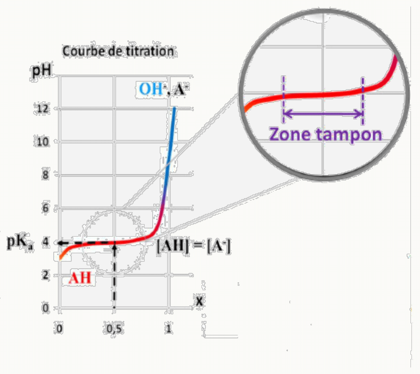 Courbe de titration d'un acide faible avec zone tampon autour du pKa