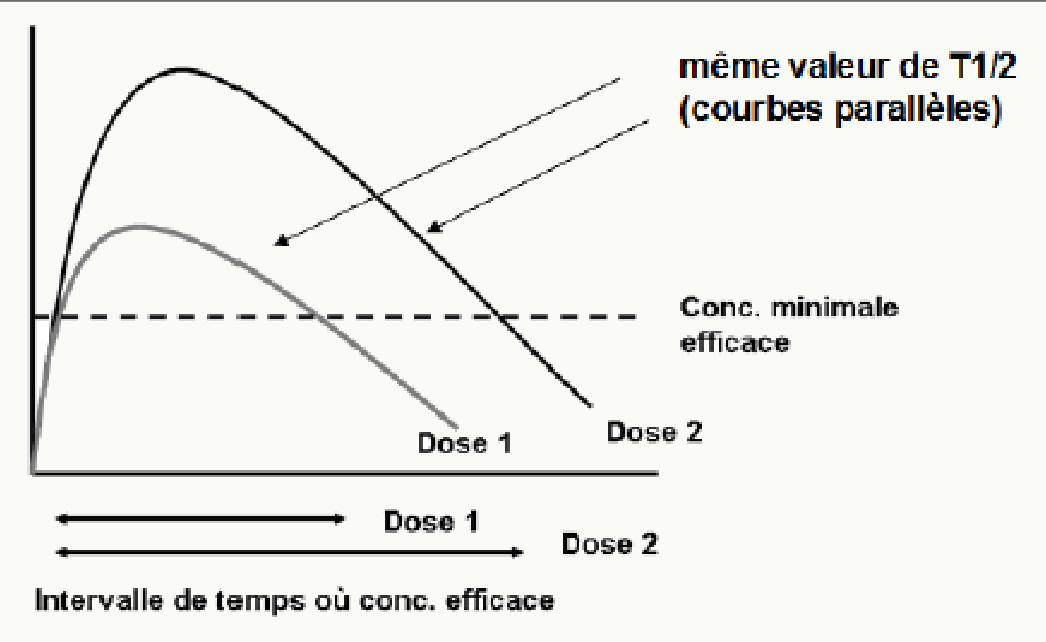 Deux courbes doses différentes même T1/2 parallèles semi-log