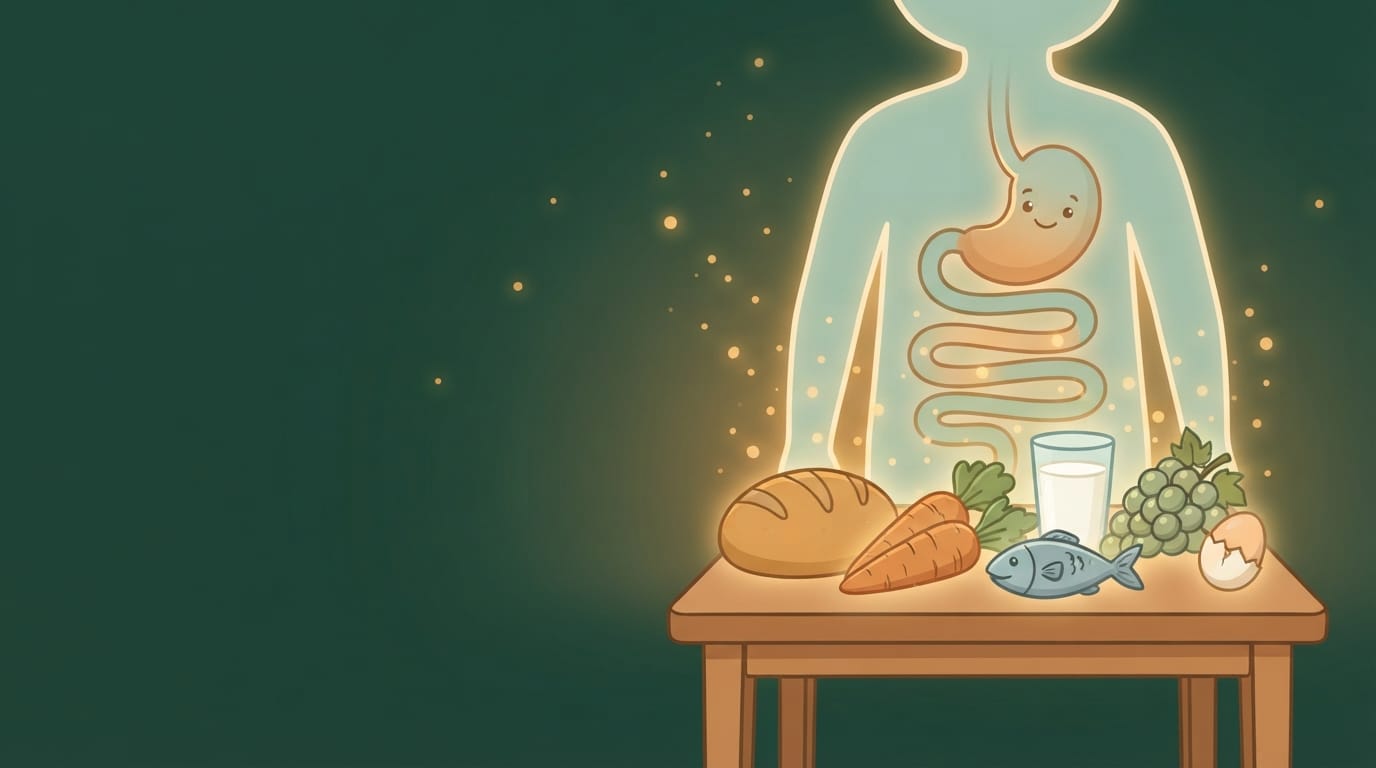 Chapitre 5 6e – L&rsquo;alimentation humaine