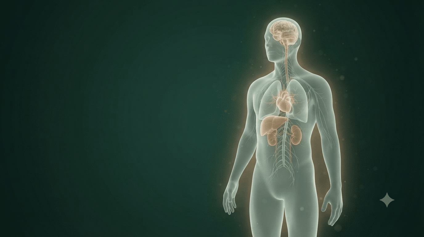 Chapitre 1 physio – Homéostasie et milieu intérieur