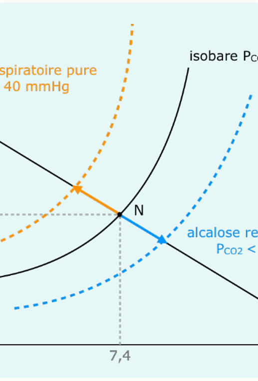 Déplacement isobare sur le diagramme de Davenport lors de troubles respiratoires purs (variation de PCO₂).