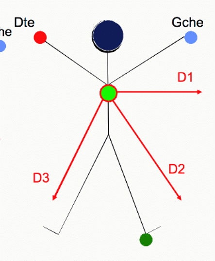 Triangle d'Einthoven avec les dérivations bipolaires D1 entre bras droit et gauche, D2 et D3.