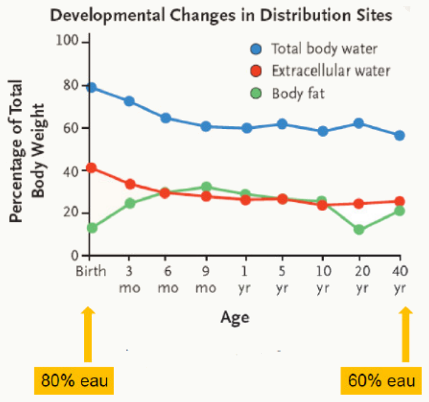 Compartiments eau totale 80→60 % extracellulaire graisse par âge